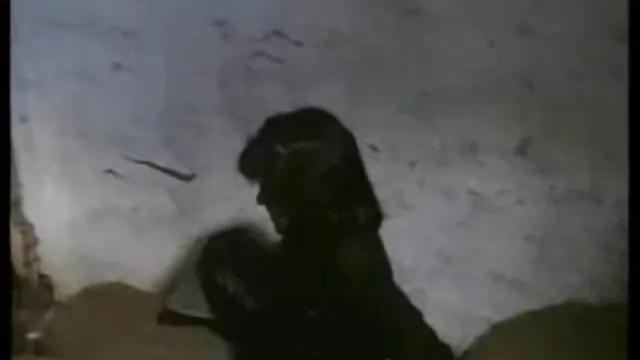 Egy meleg Cseh fiú hamisított, szar, majd sex a parkban spriccelt a nyilvánosság előtt.